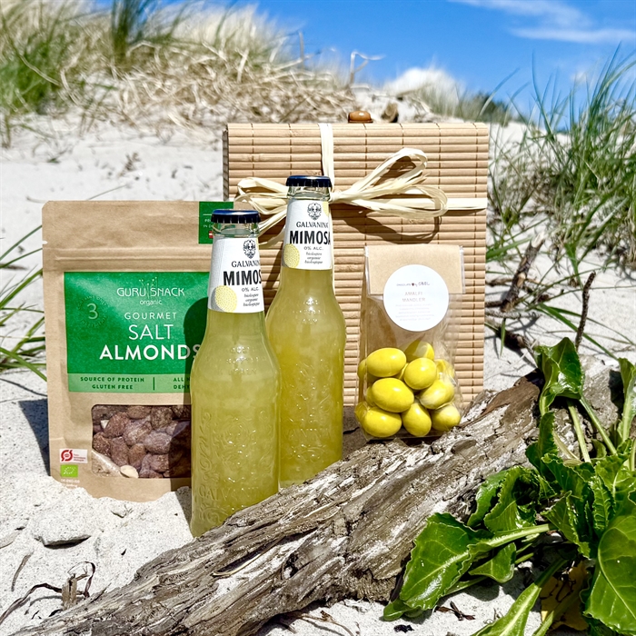 ALKOHOLFRIA SOMMAR PRESENTER