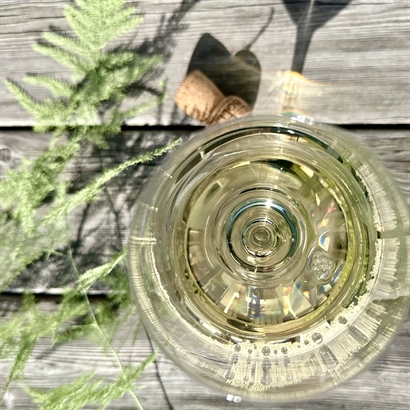 Sommarpresent med 2 flaskor Italiensk Vitt Vin och Snacks