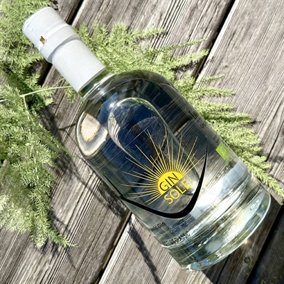 Gin & Tonic Kit med Amalfimandlar och läckra Snacks