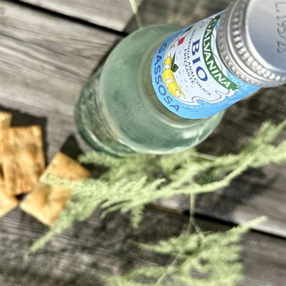 Hugo Spritz Kit med läckra Snacks