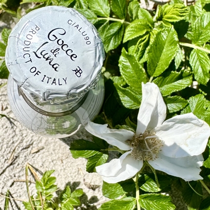 Sommarpresent med Alkoholfri Spumante, Macarons och Italienska Chokladmandlar