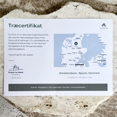 Plantera ett träd - Bambusask fylld med 360 gram läcker choklad