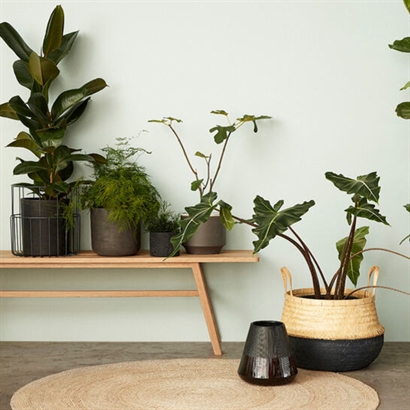 Daze Korgar Svart/Natur (set om 2) - Rekommenderat utpris 1.099,-